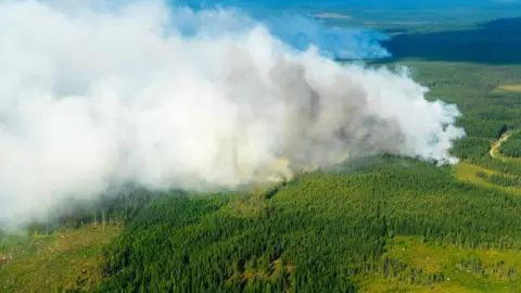 AFP Aerial image shows the Forest fires burning near Ljusdal, Sweden on July 18, 2018.