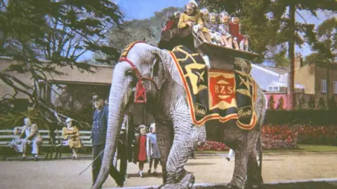 Bristol Zoo Elephant ride at the zoo