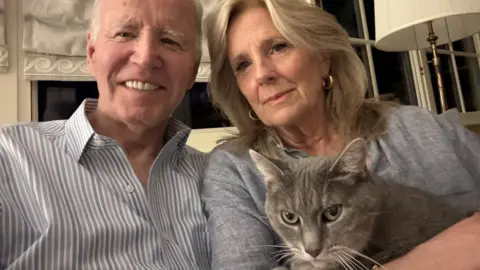 Man and woman with grey cat