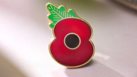 Close up image of a red poppy pin