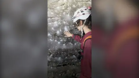 Giant spider web with a man standing in front.