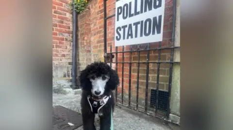 A dog on a leash at a polling station.