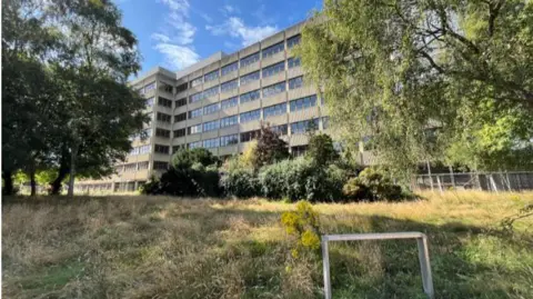 Andrew Turner/BBC A large rectangular concrete office block with at least eight storeys, with rows of windows on each floor. It looks out on to an overgrown green space with long grass, shubbery and trees 