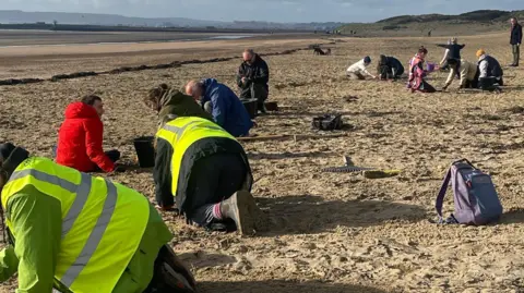 A number of Strandliners volunteers cleaning up Camber Sands in East Sussex. People can be seen in high vis vests and a couple of spades can be seen in the picture.