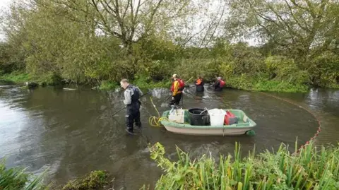 Environment Agency officers releasing the eels.  Four people are in the water with one pulling along a small white and pale green boat.