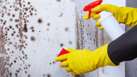 Getty Images A white wall covered in black mould - coming in from the right of the frame is a person's arms. They are wearing yellow rubber gloves and are holding a red scouring sponge and a white and red bottle of cleaning fluid.