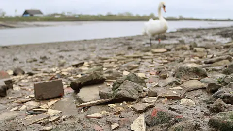 Michelle Collier A close up of a riverbank covered by broken tiles with a swan in the background