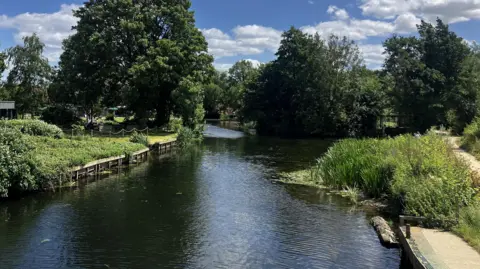 Matt Marvel/BBC A leafy part of the River Stour captured on a bright, sunny day. Trees and greenery adorns either side of the river and on the right is a footpath. 