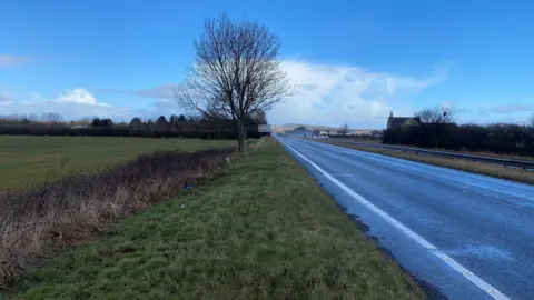 A stretch of the A1 near Alnwick. There are two lanes on the left-hand side of the central reservation. A grassed area and trees are to the left of the road.