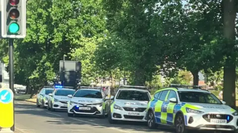 Aaron Chesham Five white police cars with yellow and blue neon checks are all parked in a row alongside the park, which is edged with large trees in leaf. One car has its blue flashing lights on. There is a traffic light on green to the left of the shot.