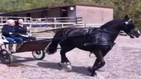 Family Angharad Rees in a two-wheeled trap that was pulled by a horse