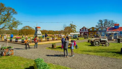 Tulleys Tulip Garden A farm, bringing a mini Netherlands vibe to it with a bicycle, a windmill, tractor and small houses.  Two men are playing guitars and there are onlookers on a sunny day.