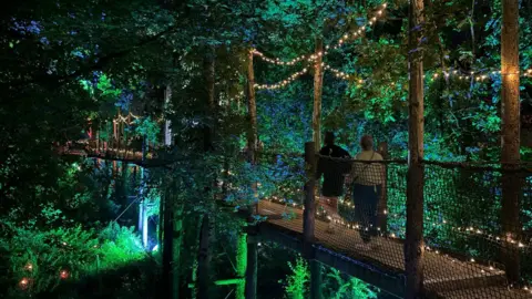 People walk along a tree-top bridge through the woodland canopy. It is lit up with fairy lights and the trees are lit up with blue and green lighting.