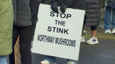 Protest sign reading 'stop the link Northway Mushrooms'