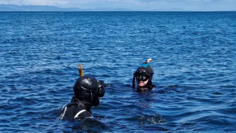 Iain Kinnell Two people wearing black wetsuits, masks, and snorkels, float in calm, open water beneath a bright blue sky. Large white clouds hang over the distant horizon and gentle waves surround the snorkellers