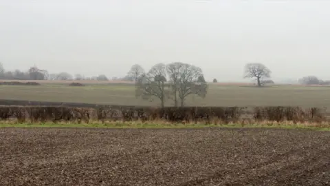 In the near distance is a muddy field bounded by a hedge to the rear. Beyond that several large trees stand in a field.
