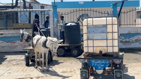 Drinking water tanks pulled by donkeys in Gaza