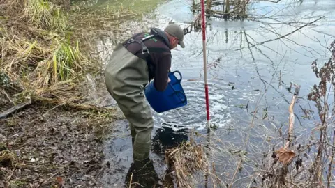 Nene Park Trust A man in green chest waders holding a blue bucket, releasing fish into water.