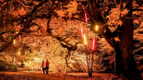 Westonbirt Two people walk together on a path through trees which are lit from below. There are 7ft-tall poles with lights attached to look like reeds in the foreground.