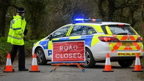 A stationery police car parked on a road has its blue lights flashing. There is a row of cones in front of it and a sign reading ROAD CLOSED. A female police officer wearing uniform and a fluorescent jacket has her back to the camera. There are trees behind the car.