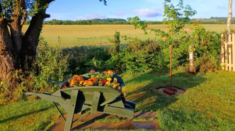 A wheelbarrow full of brightly-coloured flowers sits in a garden with a tree on the left and a fence on the right. It is bathed in sunshine.