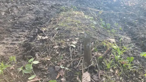 A small tree stump with chalk lettering on it with a green mossy mound behind