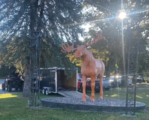 BBC / Mike Wendling A statue of a Moose surrounded by evergreen trees, with the sun poking through the branches