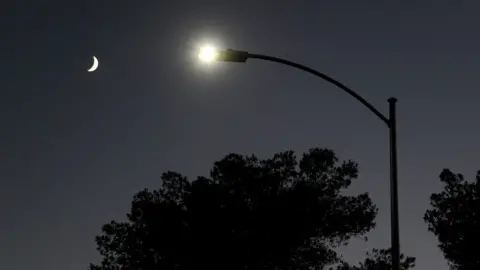 Getty Images A general image of a street lamp with trees surrounding it and the moon shining in the sky above 