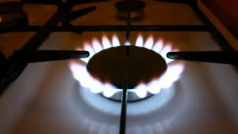 Flames on a lit ring on a gas stove