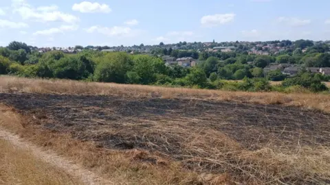 A blackened and burnt area of a wildlife meadow, trees and housing in the background