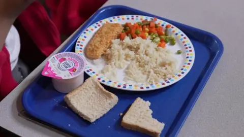 A blue tray with a child's school dinner on it - there is a plate with rice, breaded fish and a vegetable medley. Two pieces of bread and a yoghurt are next to it.