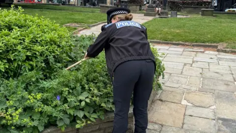 A female police officer looking inside a bush for a bladed weapon 