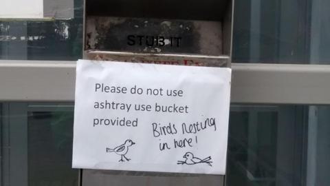 Cigarette butt bin with bird nesting notice