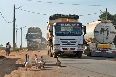 Issouf Sanogo / AFP / Getty Images Geese on a main tarmac road in the village of Nigoun, near Tengrela. Behind them are lorries packed with goods and fuel tankers - Friday 31 Ocotber 2025.