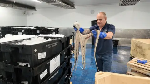 Barry Young from Brixham Trawler Agents holds up a Mediterranean octopus.  