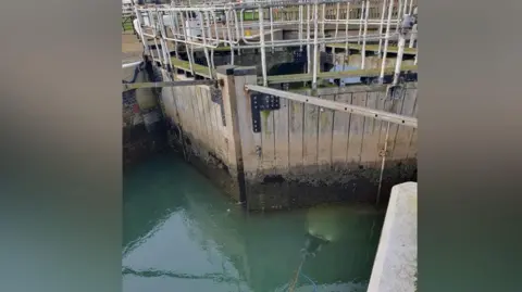 Broads Authority A submarine with a light is submerged under water near locks.