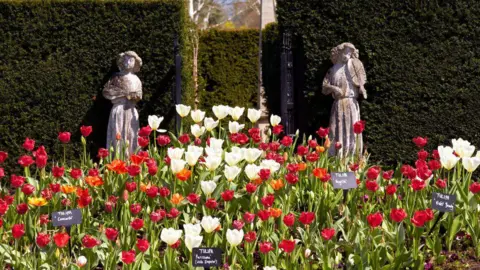 Hever Castle Flowers at Hever Castle