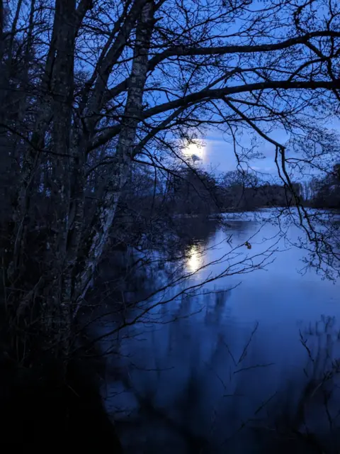 Catherine Penman Blue sky and bright moon, reflected on a pond and bordered by tree's