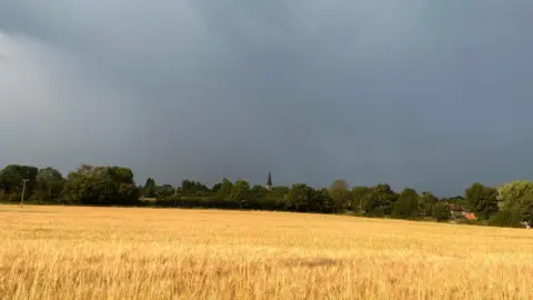 Brimptonboy A dark and cloudy sky overlooks a row of trees with a spire poking through in the middle with a field in the foreground