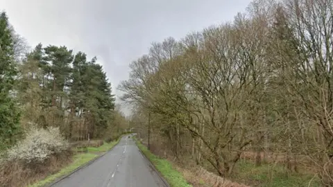 Image of the road with trees either side in a rural location. There are also grass verges and a small speck of a vehicle in the distance. 