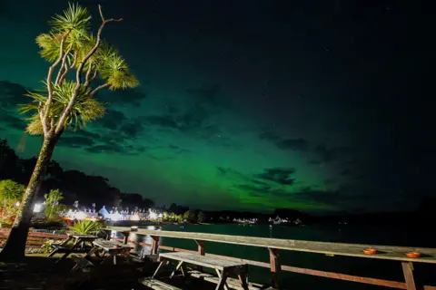 Sam Bilner The green aurora over a coastal village with a palm tree and picnic tables in the foreground and houses in the background.