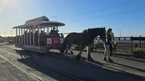 A horse is attached to a single tram carriage full of passengers on a sunny day.