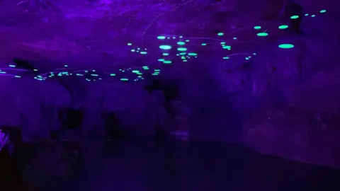 A dark cave which is lit purple, with neon green spots on its ceiling.