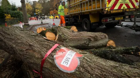 A felled tree with a red ribbon tied around its trunk. A laminated red heart shape is also attached to the tree and reads 'SAVE ME'.