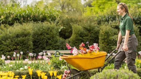 A girl with braided hair wearing grey cargo trousers and a green t-shirt. She is wheeling a yellow wheelbarrow through a flowerbed, which is blooming with colourful tulips. 