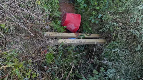 View of the ditch where the dog's body was found it is overgrown with vegetation and there are two planks and a red bucket in it