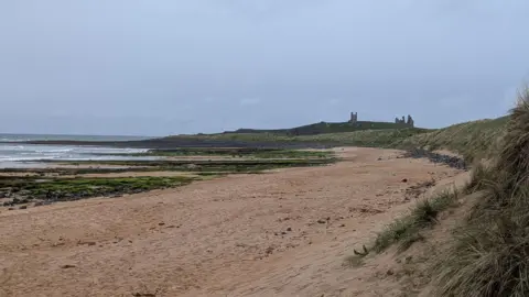 Embleton Bay near Craster, with the ruins of Dunstanbergh Castle in the distance. The beach is sandy and the tide is out, revealing some rocks covered in algae. The bank is covered in grass.