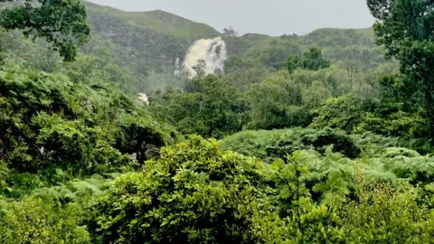 Colin Bourhill Lots of greenery covers a waterfall in the distance. It looks like a rainforest with a grey cloudy sky overhead.