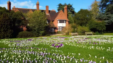 University of Leicester A view of the crocuses blooming with the botanical garden building in the background.