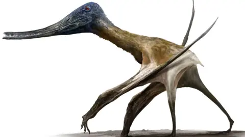 Reconstruction painting of a pterosaur with a long snout walking on mud flats